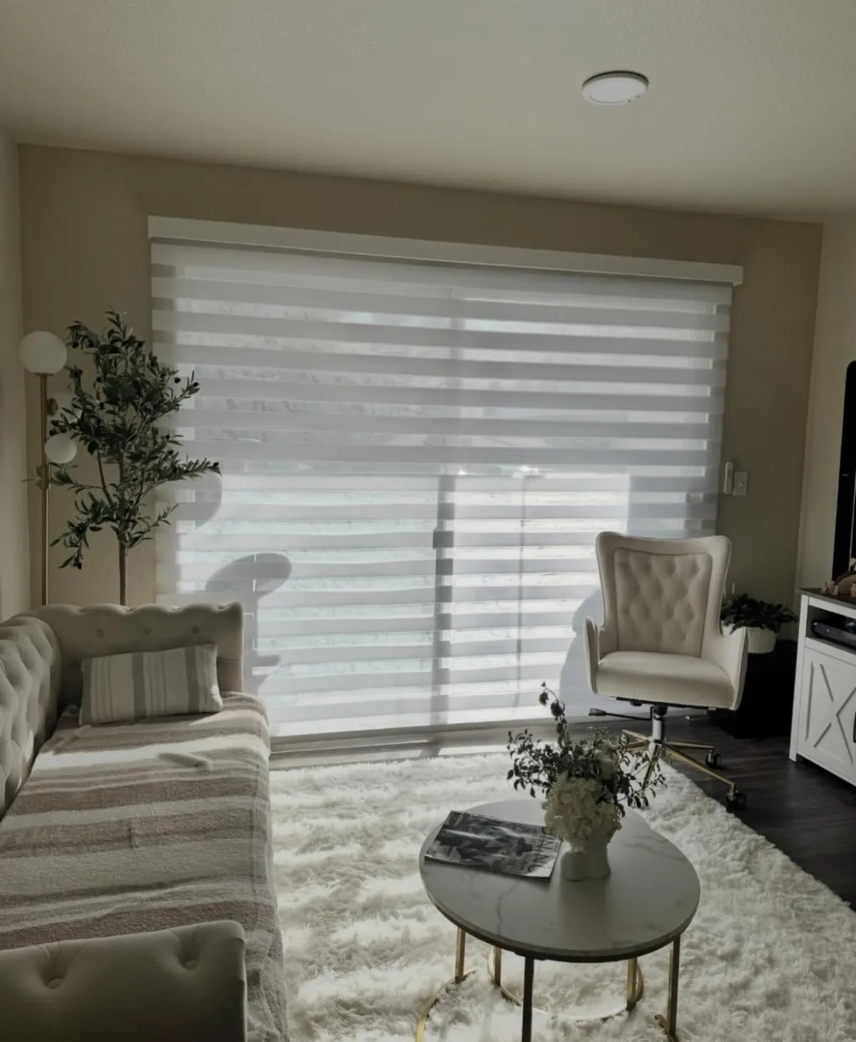 Zebra Blinds Close-up Detail Showing Premium Fabric Quality